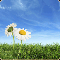 /album/fotogaleria/whatdoes-02-png/